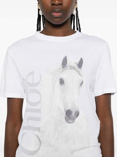 Chloé Cotton Crew Neck Graphic Short Sleeve T-shirt In White