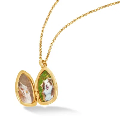 Dower & Hall Sculptural Pebble Locket In Multi