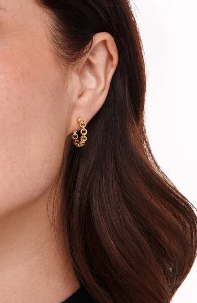 Devata Cable Link Hoop Earrings In Gold