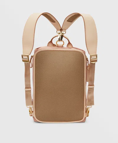 Caraa Studio 2 Medium