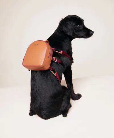 Caraa Dog Backpack