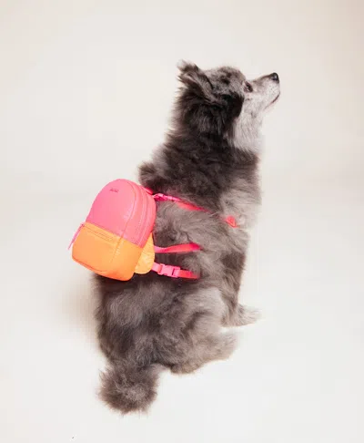 Caraa Dog Backpack