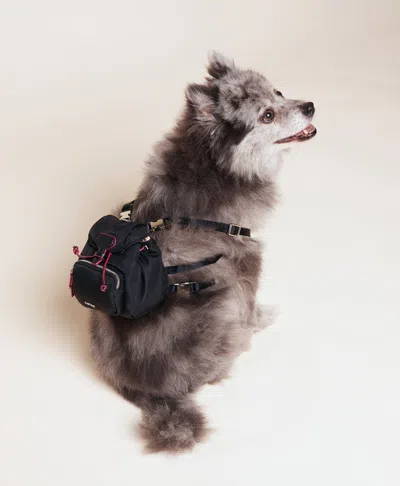 Caraa Dog Backpack
