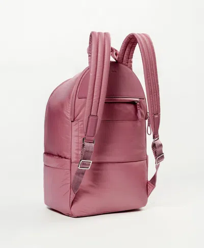 Caraa Stratus Medium