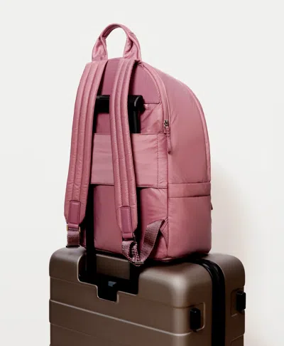 Caraa Stratus Medium