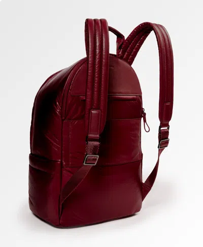 Caraa Stratus Medium