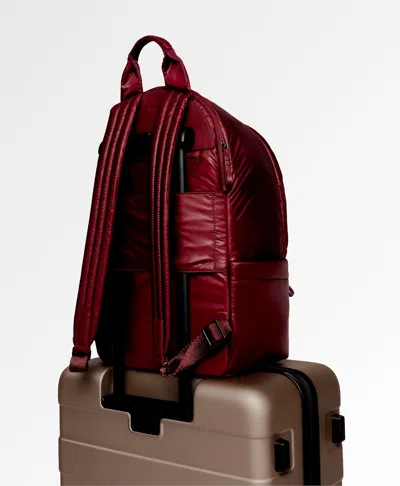 Caraa Stratus Medium