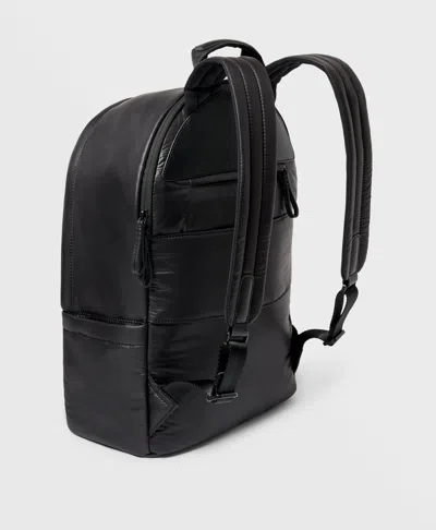 Caraa Stratus Medium