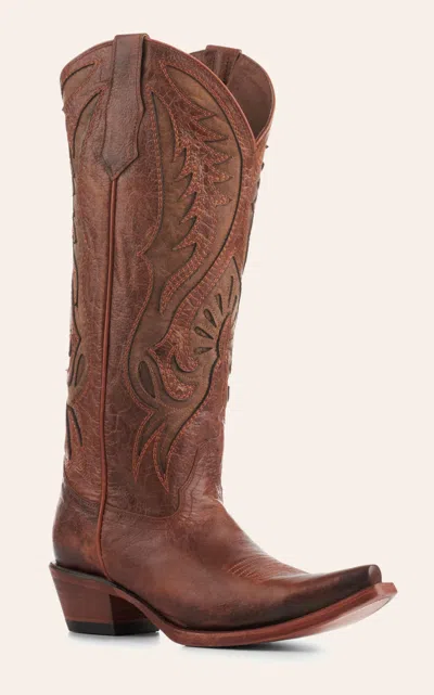 Circle G Embroidered Knee High Western Boot In Brown