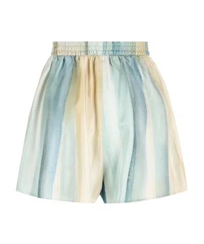 Loro Piana Patterned Shorts In Brown