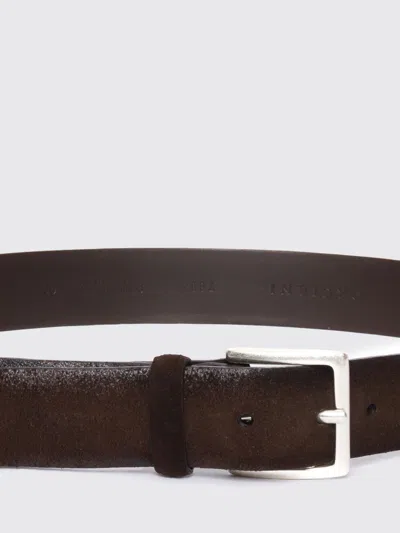 Orciani Belt In Brown