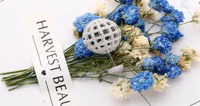 Apm Monaco Single Round Stud In Silver