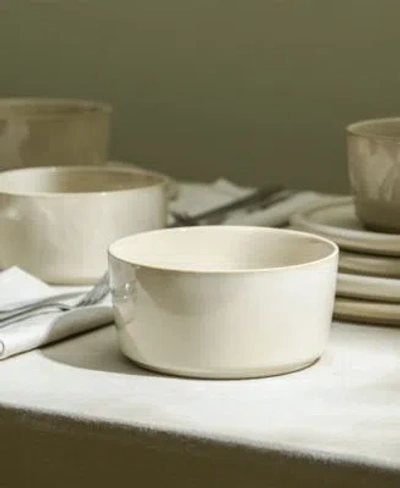 Stone Lain Eden Dinnerware Collection In Blue