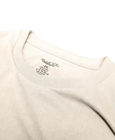 Blue Ice Men's Crewneck Solid T-shirt, 2-pack In Multi