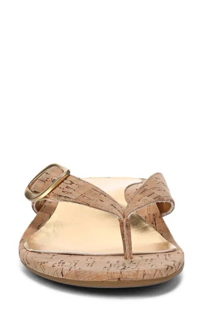 Vionic Grove Toe Post Sandal In Brown