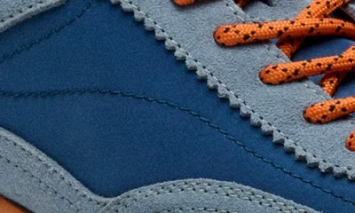 Hoff Bridge Sneaker In Multi