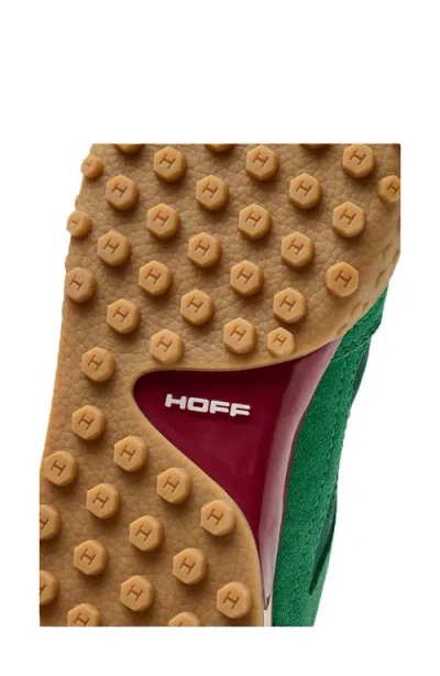 Hoff Bridge Sneaker In Multi