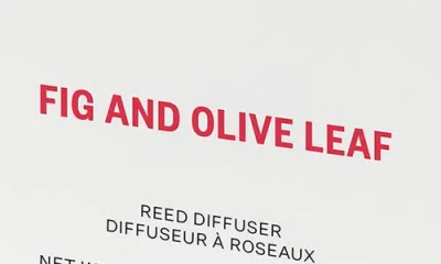 Apotheke Fig & Olive Leaf Reed Diffuser In White