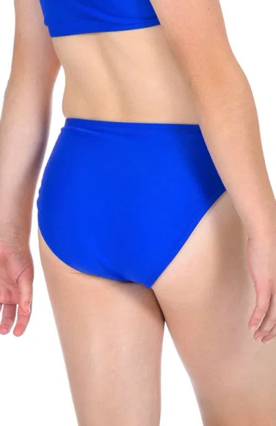 Destira Blue Raspberry Bikini Bottom In Blue