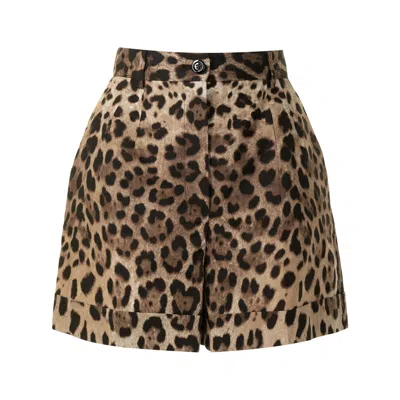 Dolce & Gabbana High Waist Leopard Stretch Drill Shorts In Brown