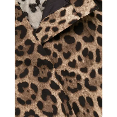 Dolce & Gabbana High Waist Leopard Stretch Drill Shorts In Brown