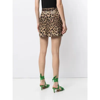 Dolce & Gabbana High Waist Leopard Stretch Drill Shorts In Brown
