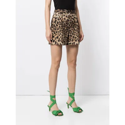 Dolce & Gabbana High Waist Leopard Stretch Drill Shorts In Brown