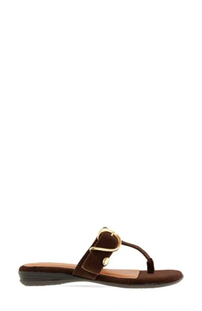 Andre Assous Nix In Brown