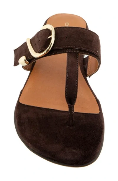 Andre Assous Nix In Brown