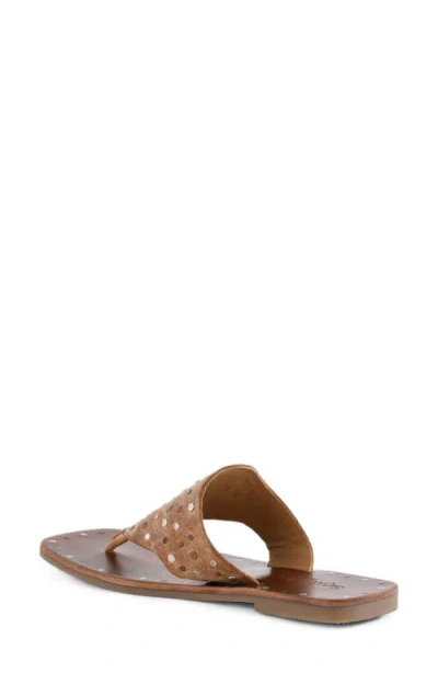 Seychelles Keep Your Secrets Studded Sandal In Brown