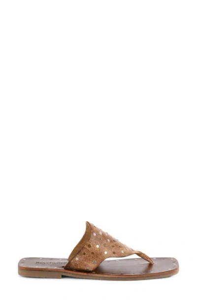 Seychelles Keep Your Secrets Studded Sandal In Brown