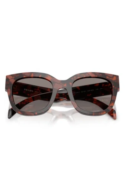 Prada 53mm Square Sunglasses In Brown