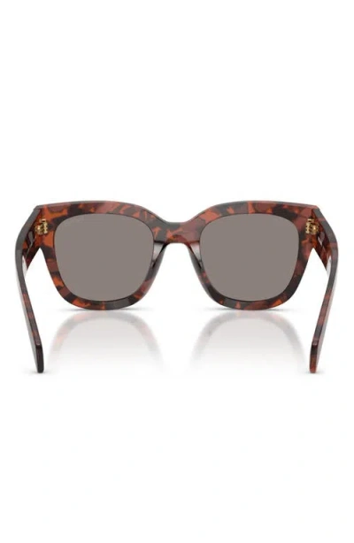 Prada 53mm Square Sunglasses In Brown