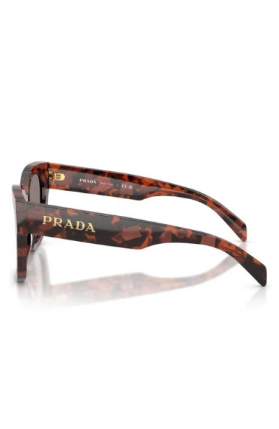 Prada 53mm Square Sunglasses In Brown