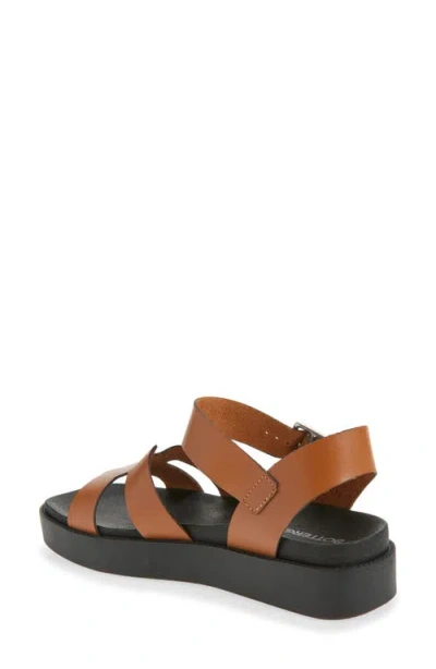 Bottero Botriley Ankle Strap Platform Sandal In Brown