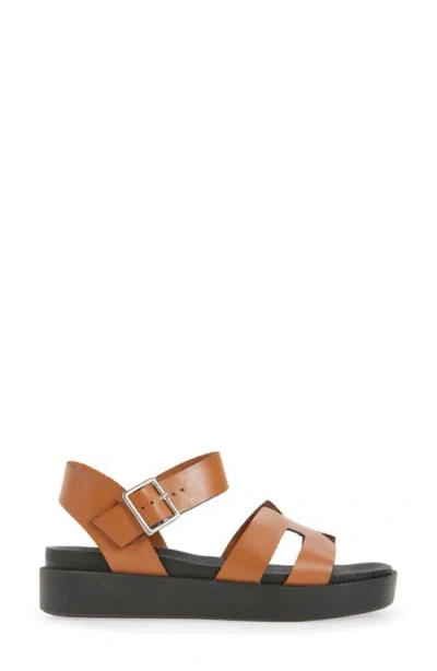 Bottero Botriley Ankle Strap Platform Sandal In Brown