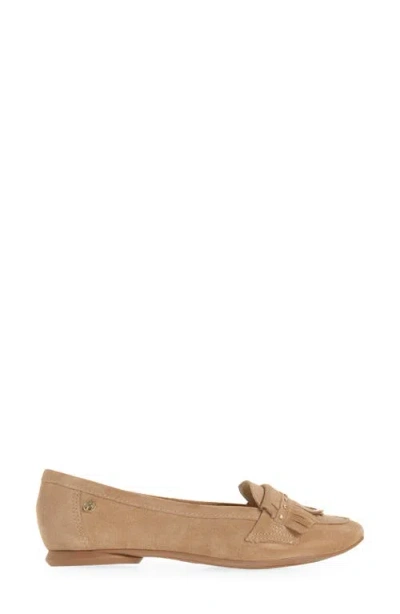 Bottero Botjoya Pointed Toe Flat In Brown