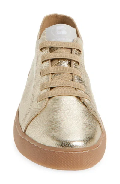 Bottero Botrunner Sneaker In Gold
