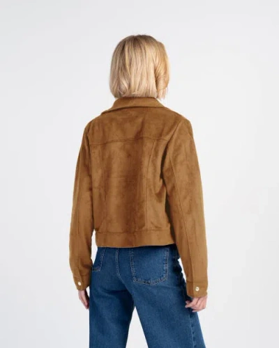 Kettlewell Harper Suede Bomber Jacket In Brown