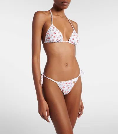 Dolce & Gabbana Small Rose-print Triangle Bikini In White