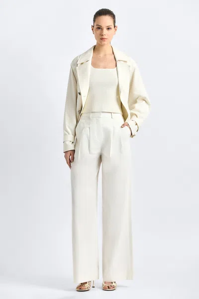 Derek Lam 10 Crosby Juliana Pleated Wide Leg Twill Pants In Neutral