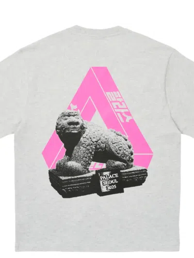 Palace Grey T-shirt In Gray