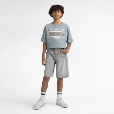 Levi's Skate Shorts In Multi