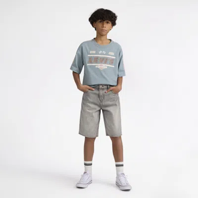 Levi's Skate Shorts In Multi