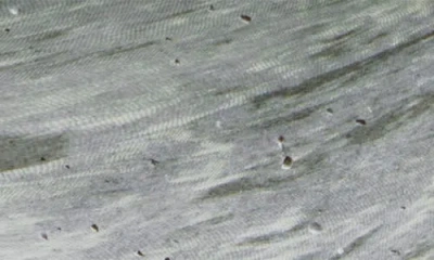 Next Marble Effect Bowl In Green