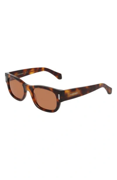 Ferragamo 51mm Modified Rectangular Sunglasses In Brown