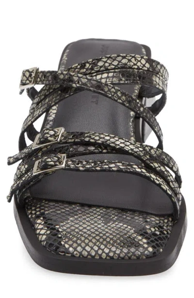Justine Clenquet Andie Python Embossed Sandal In Black