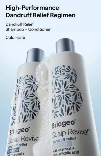 Briogeo Scalp Revival Dandruff Relief Shampoo With Salicylic Acid 8.4 Fl Oz/248 ml In Transparent