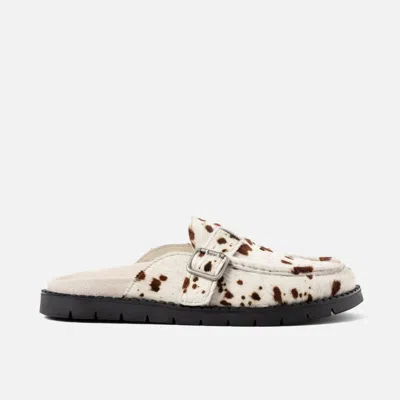 Duke + Dexter Winston Brown Cow Mule In Multi
