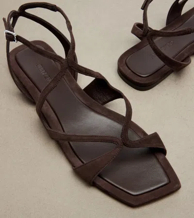 Jimmy Choo Ayla Brown Sandals With Square Toe And Ankle Buckle Closure In Suede Woman